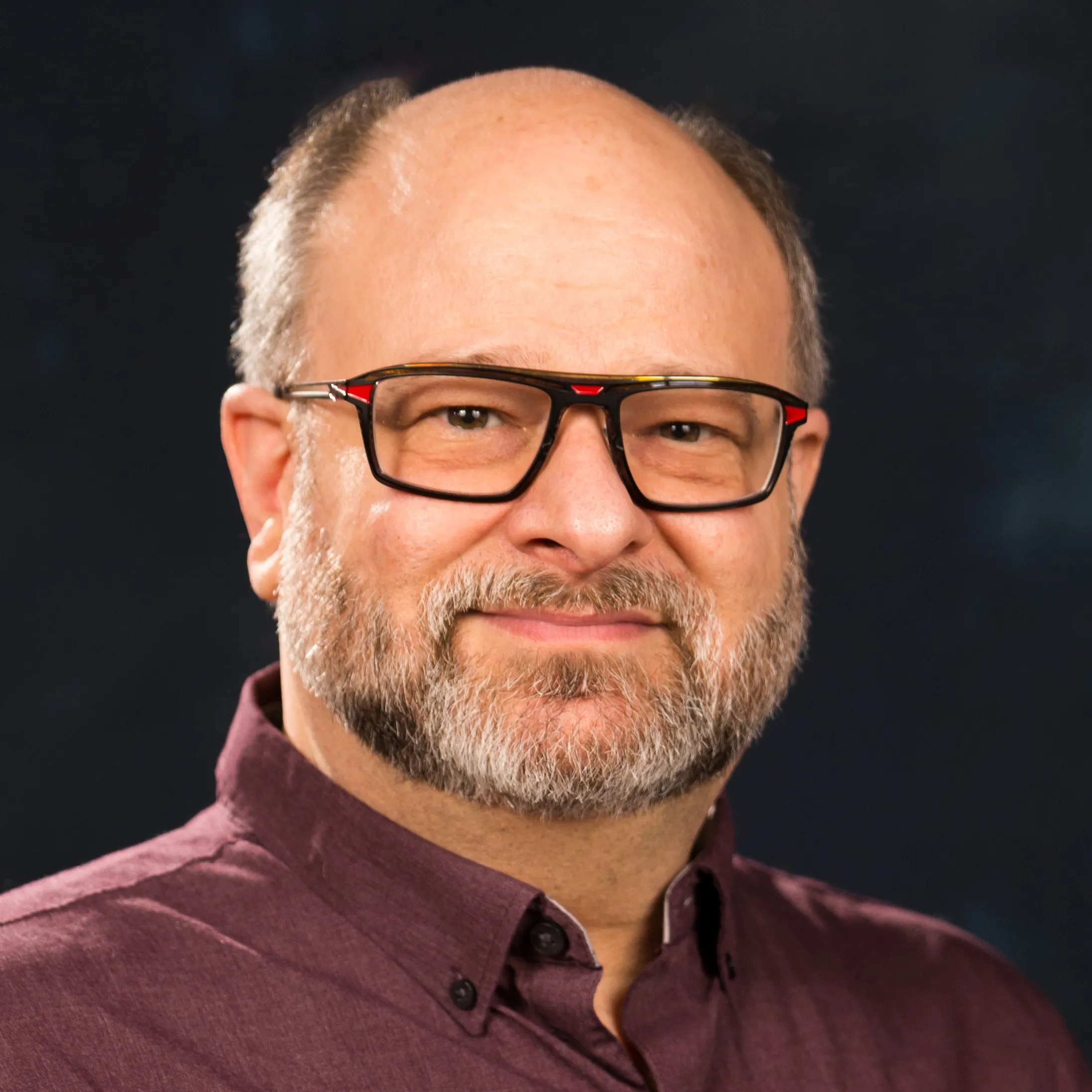 Professional portrait of David Schargel